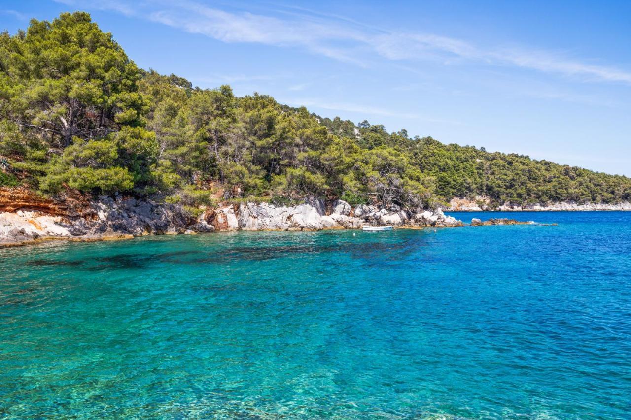 La Villa Bleue Secluded Eco Beach Villa Hvar Island Zastražišće Zewnętrze zdjęcie